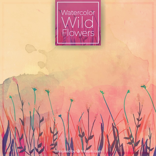 Watercolor wild flowers background