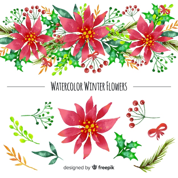 Free Vector Watercolor Winter Flower Collection