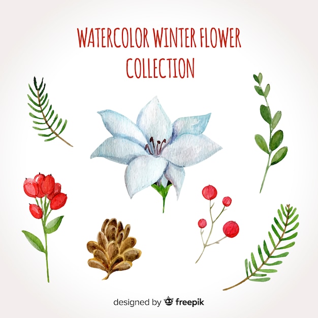 水彩冬の花のコレクション 無料のベクター