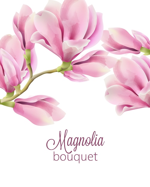 マグノリアの花の春の花束と水彩画 無料のベクター