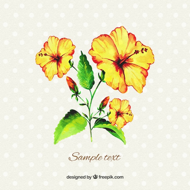 Watercolor yellow hibiscus
