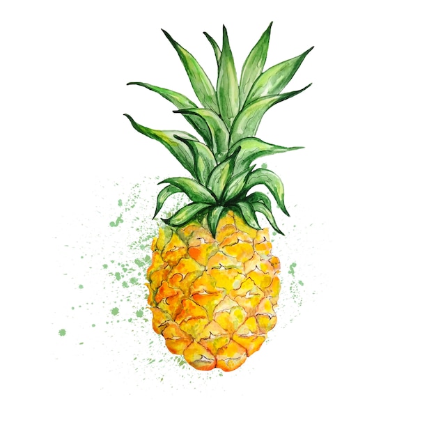 Download Premium Vector | Watercolor yellow pineapple with leaves
