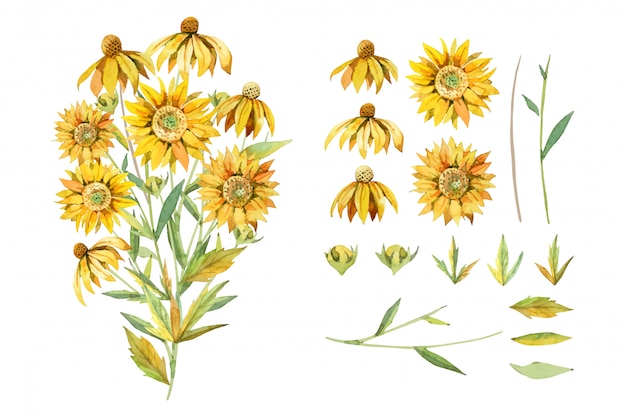 Download Watercolor yellow sunflower botanical bouquet arranges ...