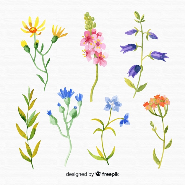Watercolour floral branch collection Vector | Free Download