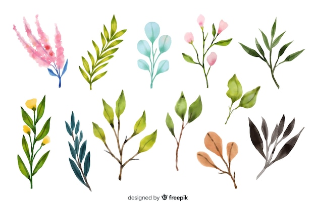 Free Vector | Watercolour floral branch collection
