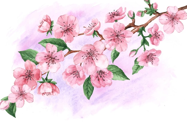 水彩桜の花と葉 無料のベクター