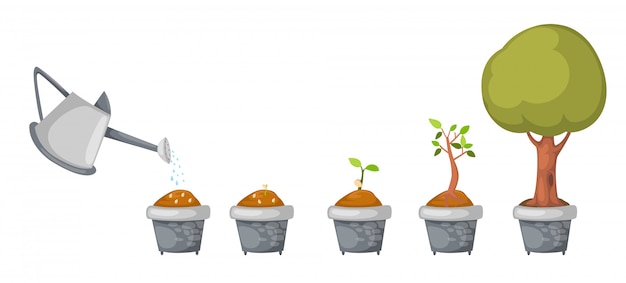 Watering can with tree life cycle vector Premium Vector