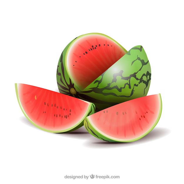 Watermelon in realistic style