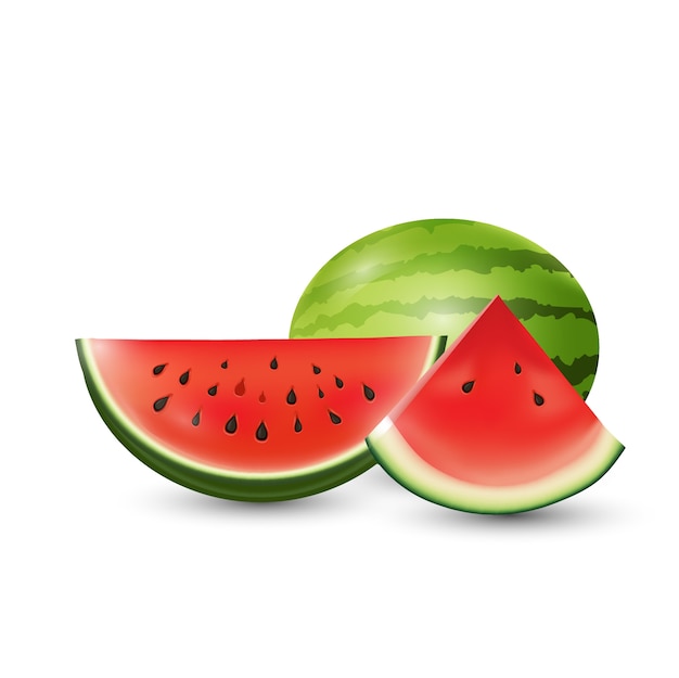 Download Watermelon slice vector illustration summer fruit ...