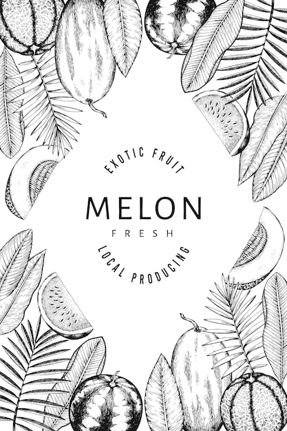 スイカ メロン 熱帯の葉のデザインテンプレート 手描きのベクトルのエキゾチックなフルーツのイラスト 刻まれたスタイルのフルーツフレーム プレミアムベクター