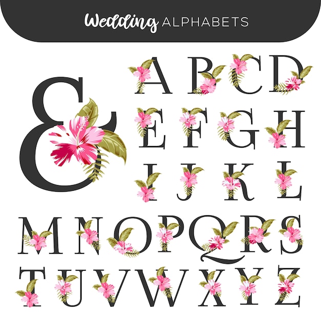 Premium Vector | Wedding floral alphabets pink hibiscus