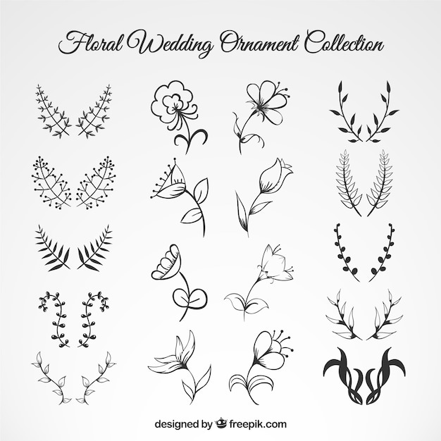 Download Wedding Floral Ornament Collection Vector | Free Download