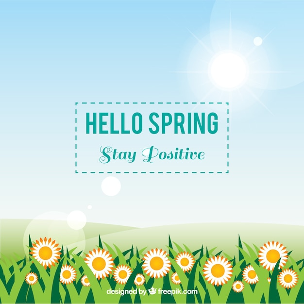 Welcome spring background with daisies
