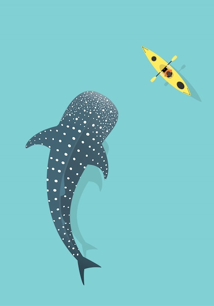 Download Whale shark and kayak isolated on blue sea background ...
