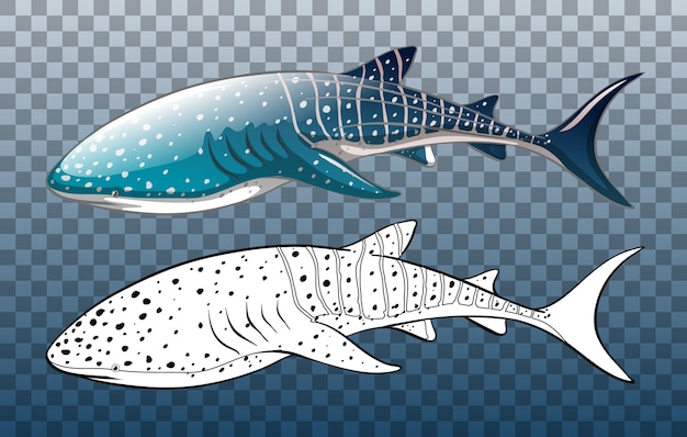 Free Vector | Whale shark with its doodle on transparent