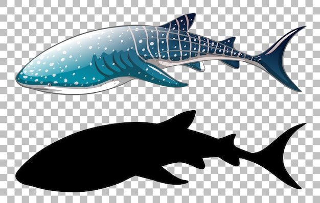 Free Free 318 Whale Shark Svg Free SVG PNG EPS DXF File