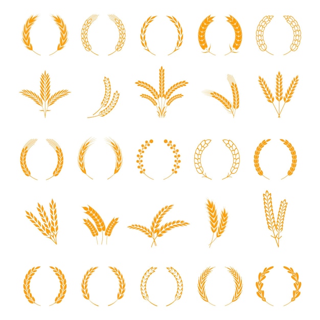 小麦とライ麦の穂 大麦の収穫 稲の茎の成長 フィールドシリアルアイコンを設定します 花輪のスパイクと茎は ビジネスサインのボーデュア要素をベクトルします プレミアムベクター