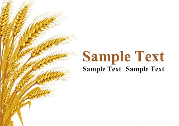 [Image: wheat-background-left-hand-corner-has-sp...984-57.jpg]