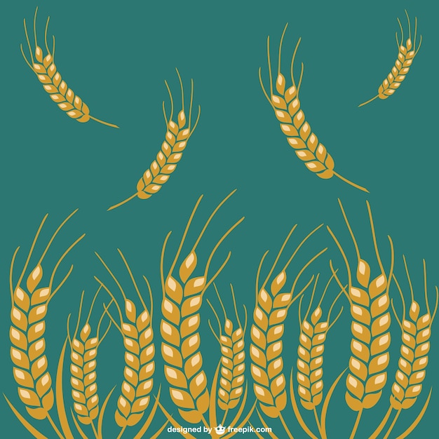 Free Vector | Wheat crops