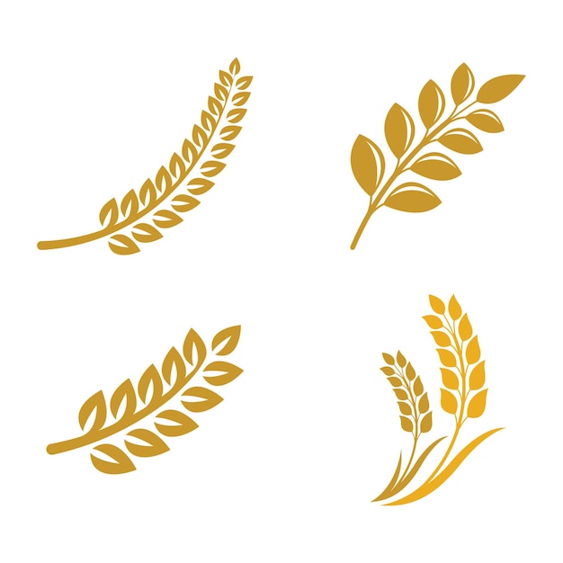 Premium Vector | Wheat logo images