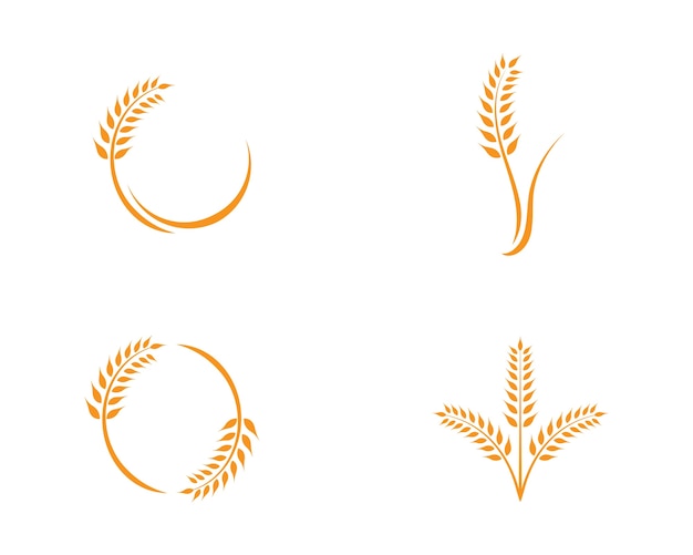 Wheat logo template Premium Vector