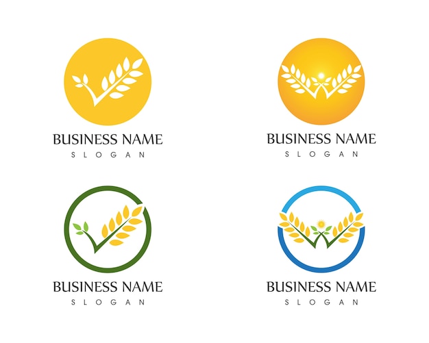 Wheat Rice Icon Logo Vector Illustration Premium Vector