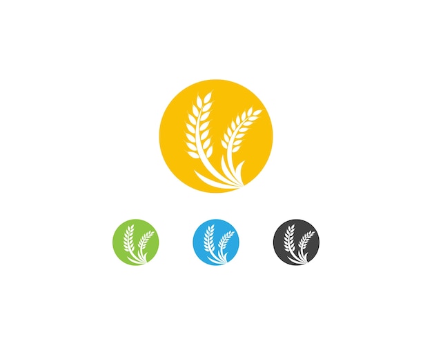 premium vector wheat rice logo template https www freepik com profile preagreement getstarted 2280337