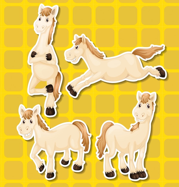 Whie horse in four different positions