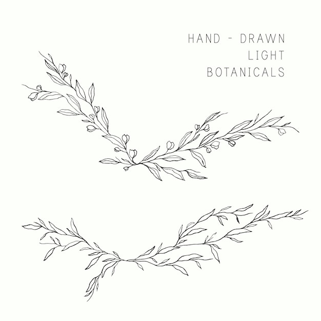 Download Whimsical hand drawn branches for wedding designs Vector ...