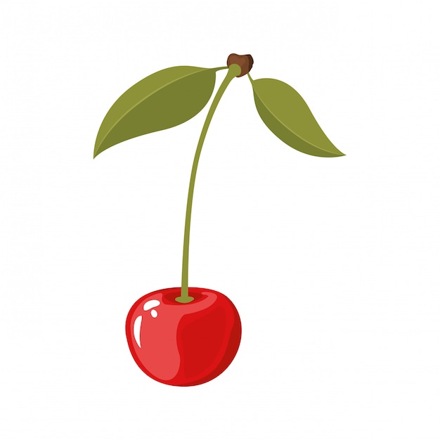 Premium Vector | White background of realistic cherry with stem and ...