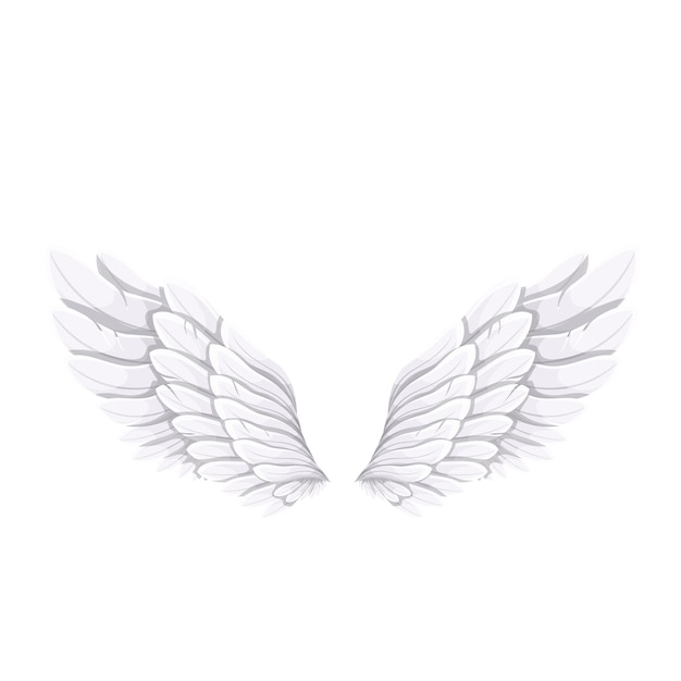 Premium Vector | White bird or angel wings, vector illustration.