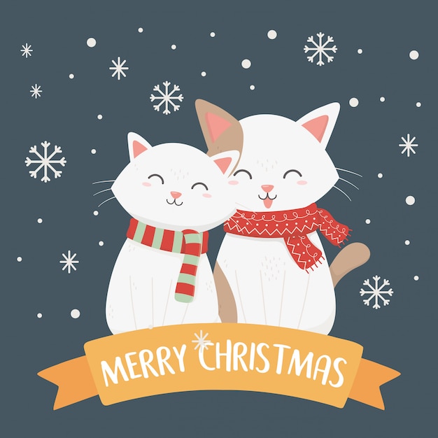 Premium Vector | White cats with scarf and snowflakes illustration