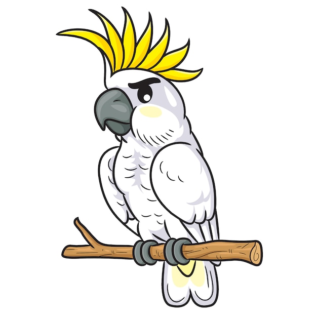 Premium Vector | White cockatoo cartoon