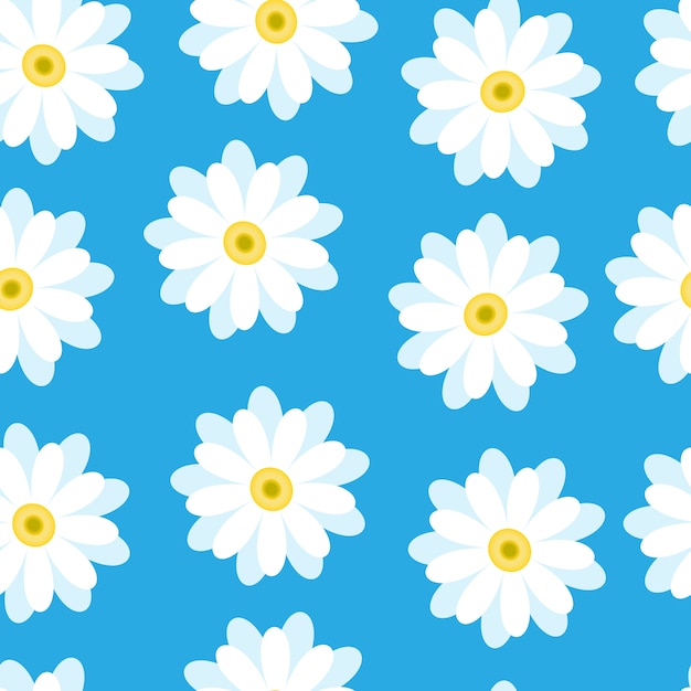 Premium Vector | White daisies on a blue background