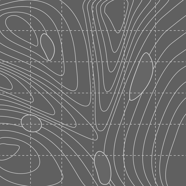 White and gray abstract contour line map | Free Vector