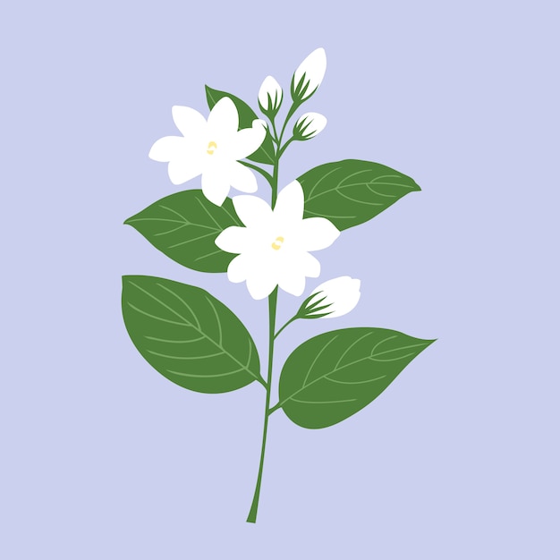 Free Free 106 Jasmine Flower Svg SVG PNG EPS DXF File