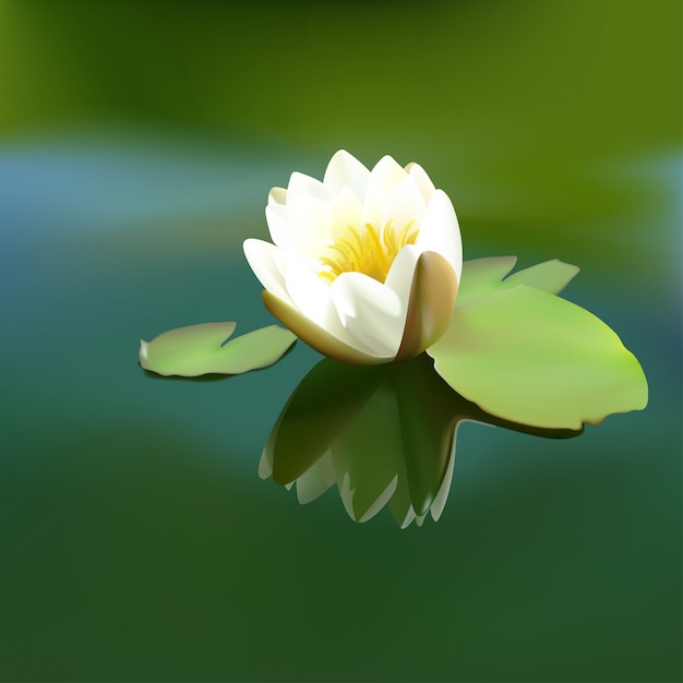 Premium Vector | White lotus flower