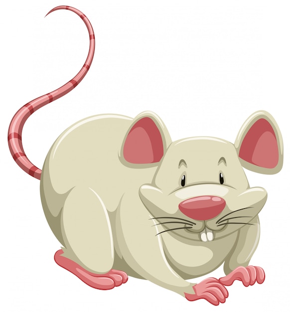 White mouse | Premium Vector