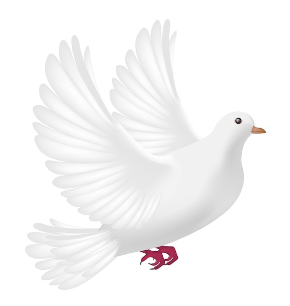 Premium Vector | White pigeon bird sending white envelope letter