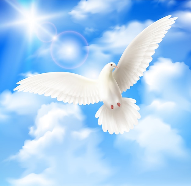 青い空と雲と白い鳩 無料のベクター