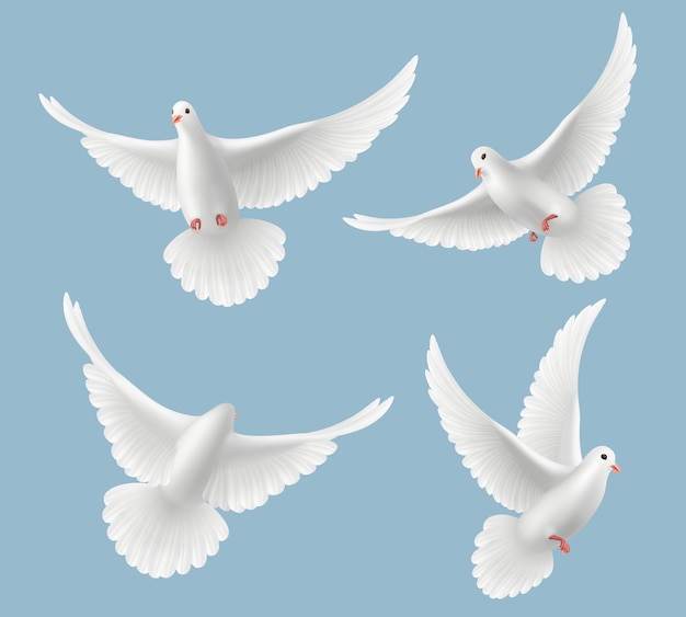 白鳩 鳩は自由と結婚式の現実的な写真の空のシンボルで飛んでいる鳥が大好きです プレミアムベクター