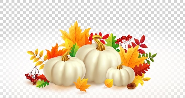 Premium Vector | White pumpkins and autumn leaves on transparent ...