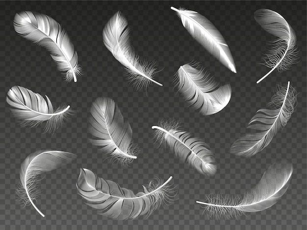 白いリアルな羽 ふわふわの天使は 羽 鳥の羽 白鳥または鳩の翼羽イラストアイコンセットをくるくるしました 現実的な白い白鳥とふわふわ 羽落ち プレミアムベクター