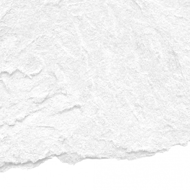 White Torn Paper Texture