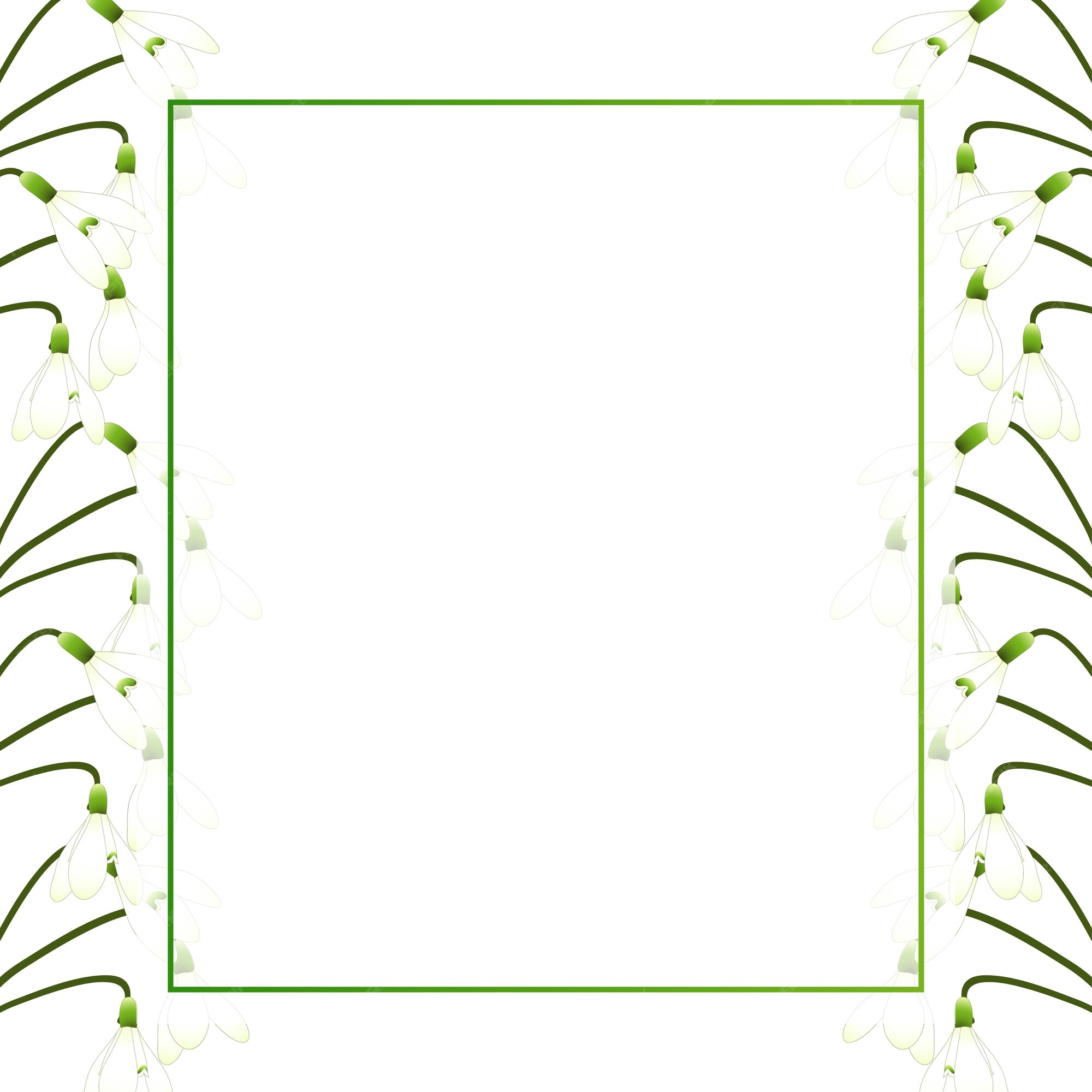 Premium Vector | White snowdrop banner card border