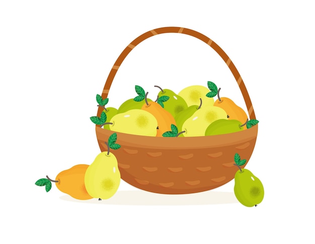 Premium Vector | Wicker basket with ripe fresh pears green and yellow ...