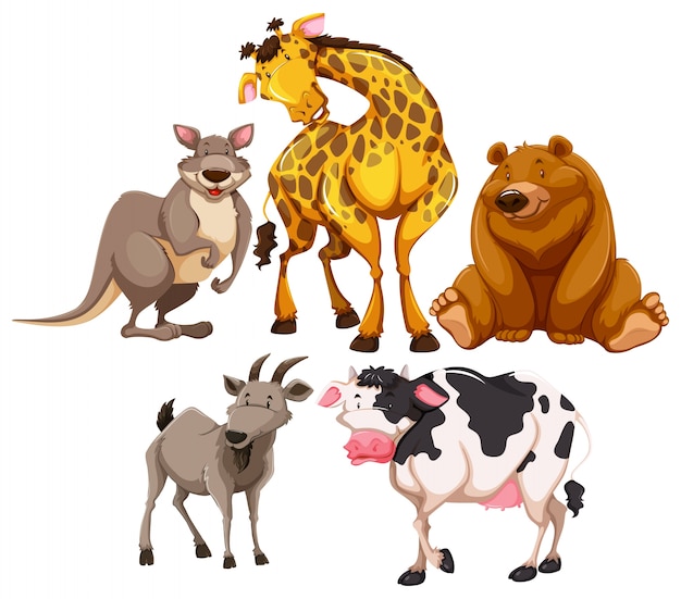 Wild animal characters on white
background