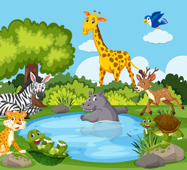 Premium Vector Wild Animals Around A Pond