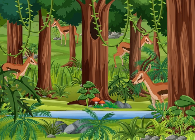 Premium Vector | Wild animals in forest landscape background