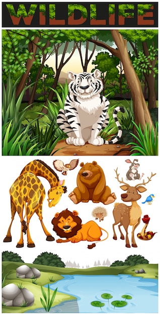 Wild animals in the jungle Vector | Free Download